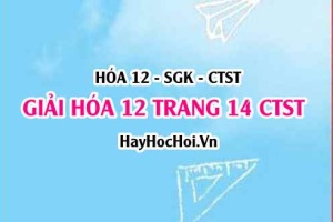 Giải Hóa 12 trang 14 Chân trời sáng tạo SGK